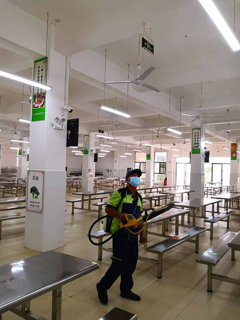 學校食堂滅老鼠、蟑螂、蚊蠅